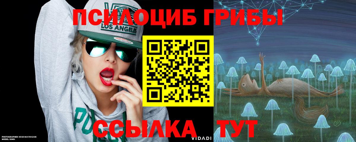 Псилоцибиновые грибы Psilocybine cubensis Учалы